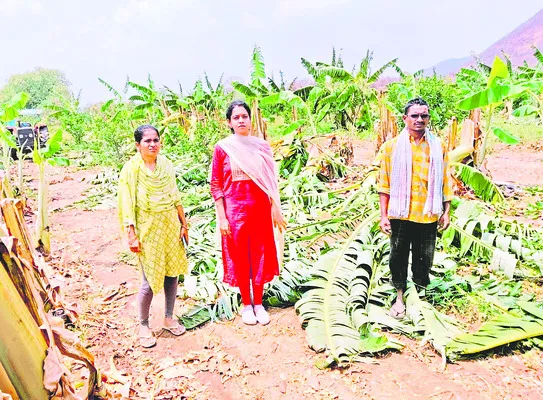 సుడిగ