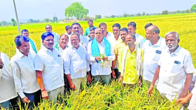 నష్టప