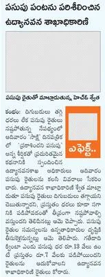 వైవీన