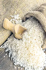 Fine Rice Distribution to poor through ration shops across Telangana11