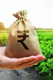 Taxman smells scam in dubious agricultural income declaration1