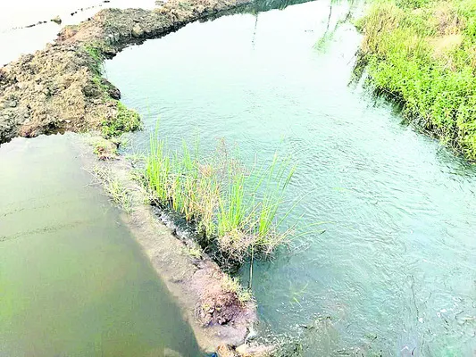 కలెక్టర్‌ ఆదేశించినా సాగునీరివ్వరా?