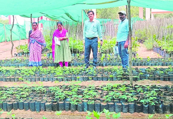 పారిశుద్ధ్యంపై నిర్లక్ష్యం వద్దు  
