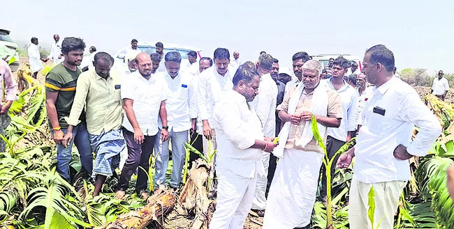 పంటల్ని చూస్తే గుండె తరుక్కుపోతోంది 