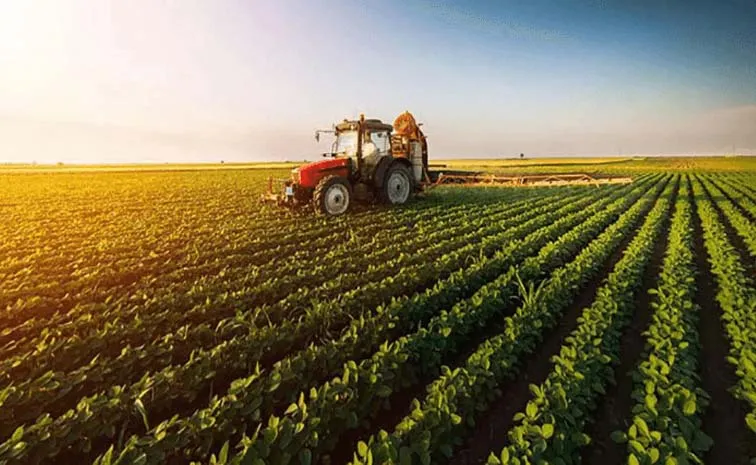 Agriculture Weather Advice: How Can Protect Crops Extreme Weather