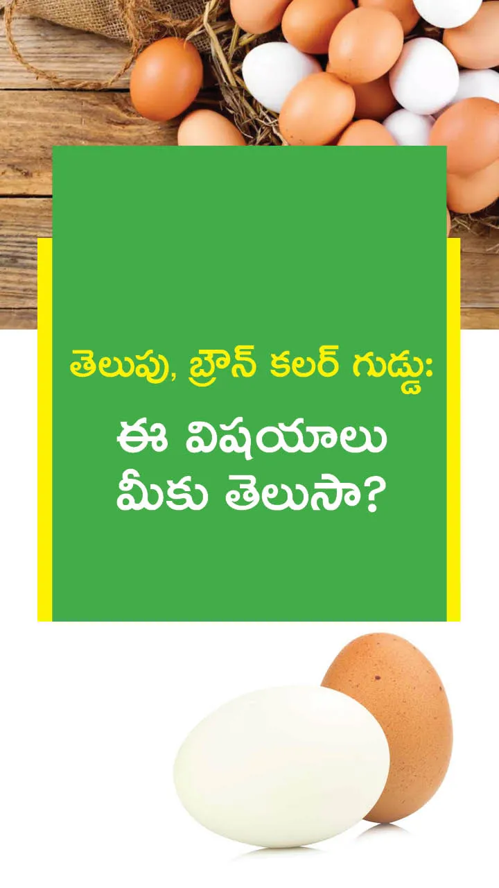 Benefits of Brown egg and Whit egg