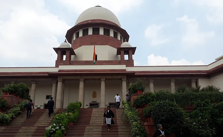 Supreme Court Sensational Judgement In TTZ Trees Cut Case 