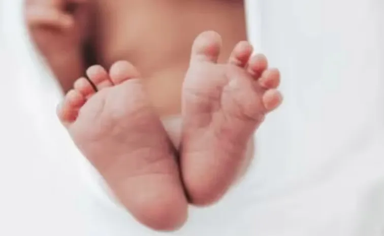 Newborn Found in Dustbin at Mumbai Airport Belgaum Sitapur14