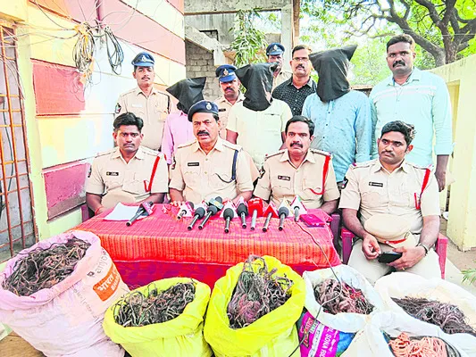 రాగి తీగలు చోరీ చేసే అంతర్‌ రాష్ట్ర ముఠా అరెస్టు 