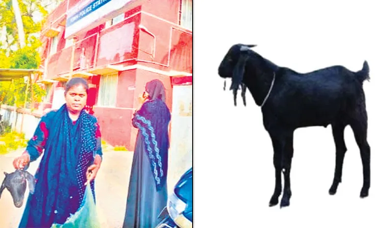Police arrest two goat thieves