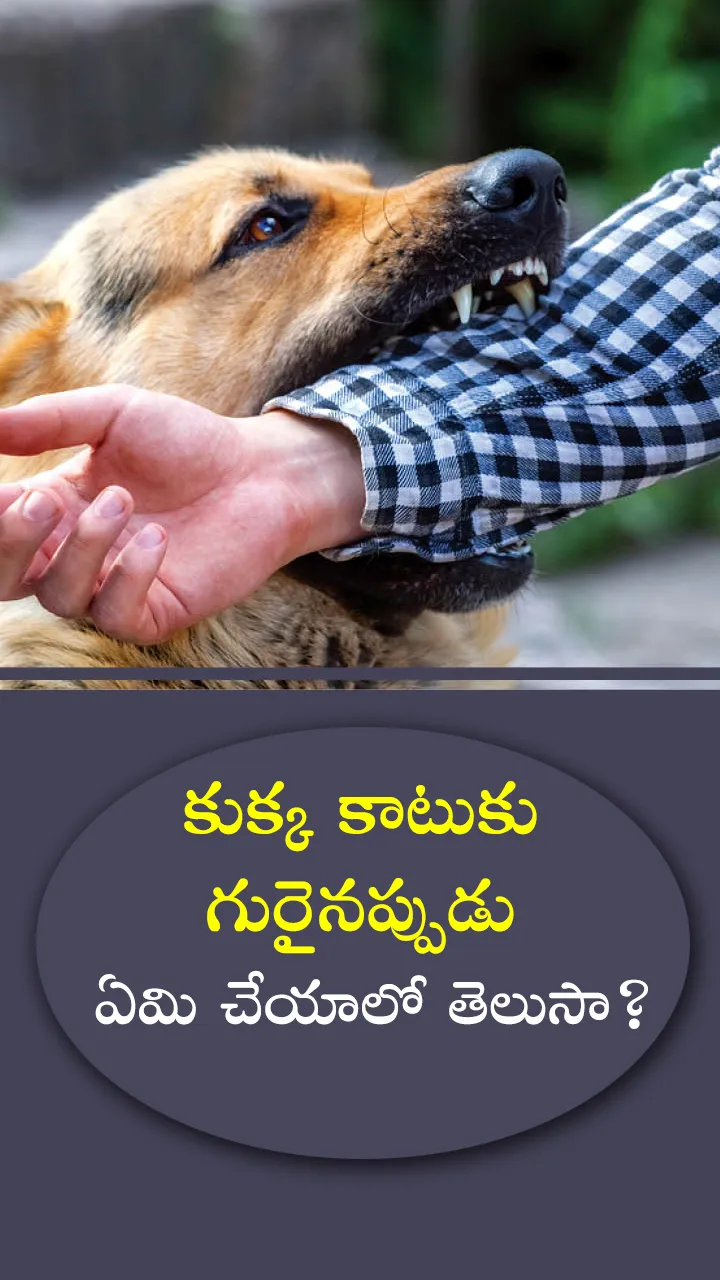 Do you know what to do if you are bitten by a dog