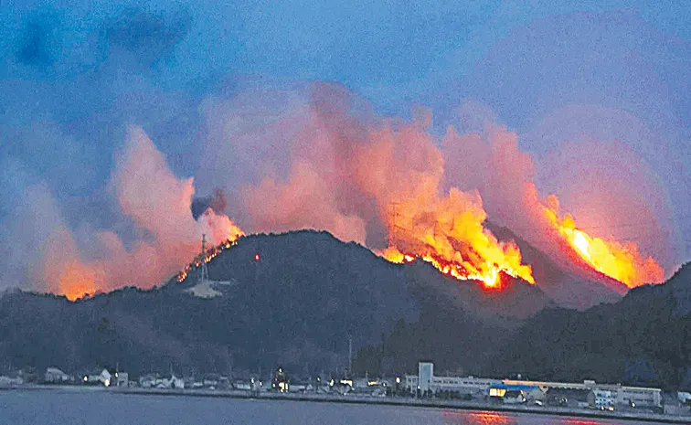 South Korea and Japan race to battle wildfires14