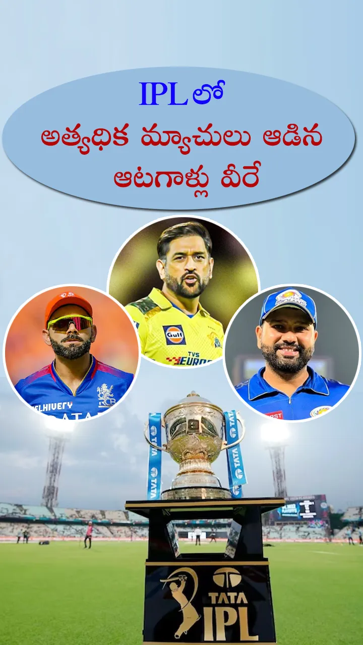 These are the players who have played the most matches in IPL