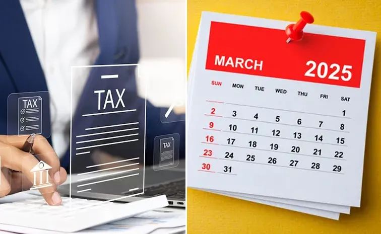 Deadlines You Cannot Miss Before 2025 March 31