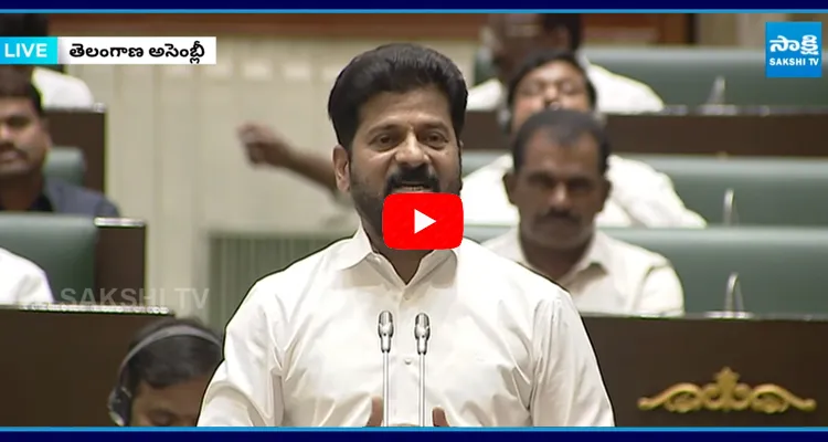 CM Revanth Reddy About Delimitation Impact On Indian Southern States7