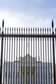 Child slips through fencing at White House and is intercepted by Secret Service6