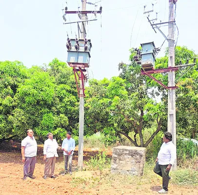 చెట్లు మనం నాటితే.. వైఎస్సార్‌ సీపీ వారు కాయలుకోస్తారు!