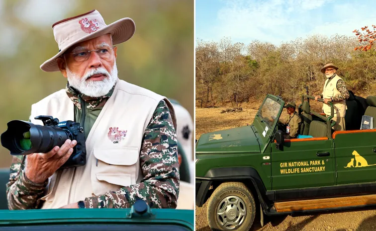 Interesting Facts About Gir National Park