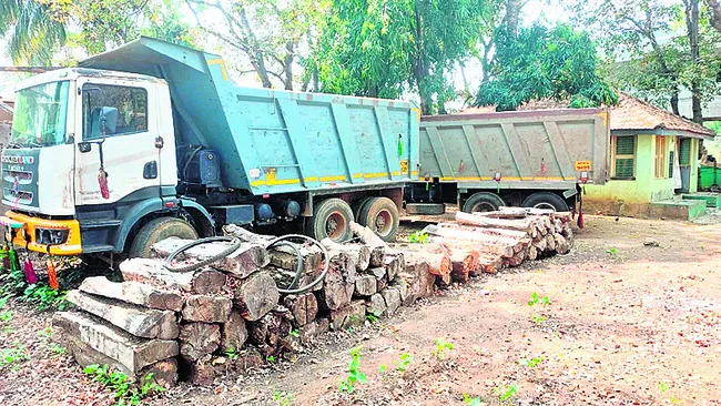 రూ.9.84 లక్షలఅపరాధ రుసుం వసూలు 