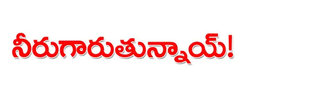 విజయవ
