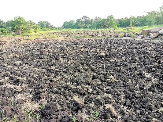 భూములు బీళ్లుగానే..