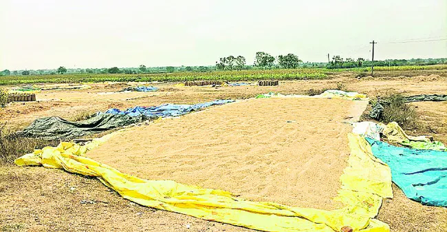 కోతలు షురూ.. కొనుగోళ్లు ఎప్పుడో..!