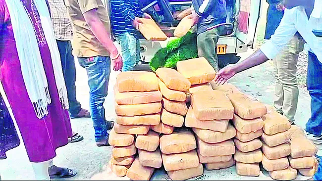 180 కిలోల గంజాయి పట్టివేత 