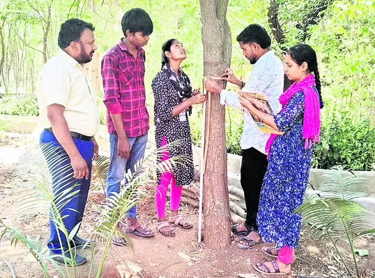 పరిశోధనకు పట్టం 