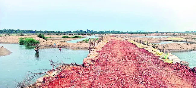 చేను మేసింది