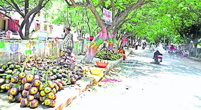 వావ్‌.. చాలా బాగుంది! 