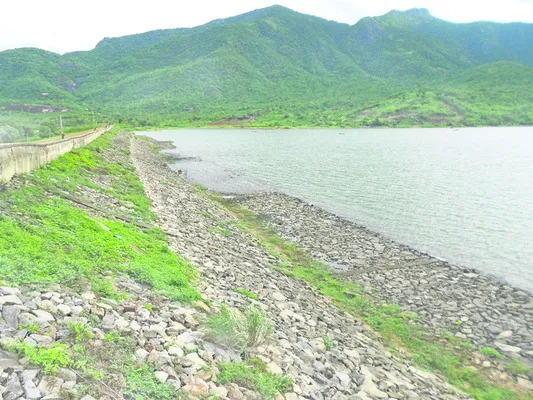 అడుగంటుతున్న పెద్దేరు 