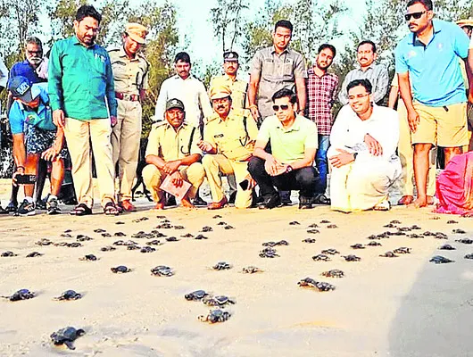 బాధ్యతగా తాబేళ్ల సంరక్షణ
