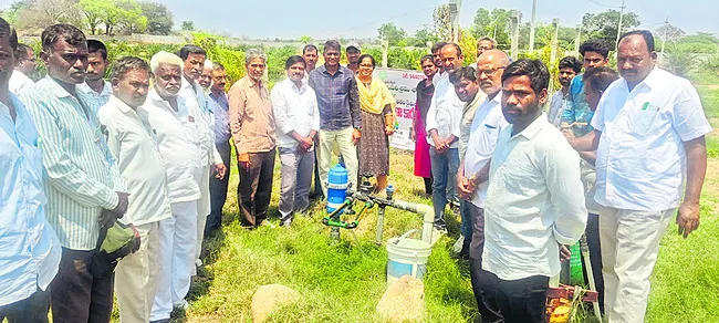 ఆయిల్‌పామ్‌ సాగుతో లాభాలు 