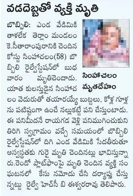పశు స