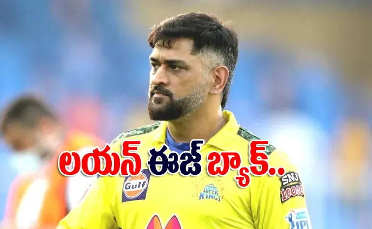 MS Dhoni to lead CSK in IPL 2025, Ruturaj Gaikwad ruled out due to elbow fracture