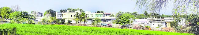 గుంటూ