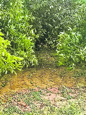ప్రజలకు అందుబాటులో  ఉండండి: డీఎంహెచ్‌ఓ