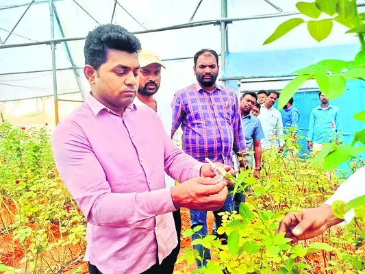 రాయితీ పథకాలతో ఆర్థికాభివృద్ధి 