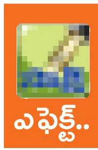 జూలో ఒంటరి జంతువులకు తోడు