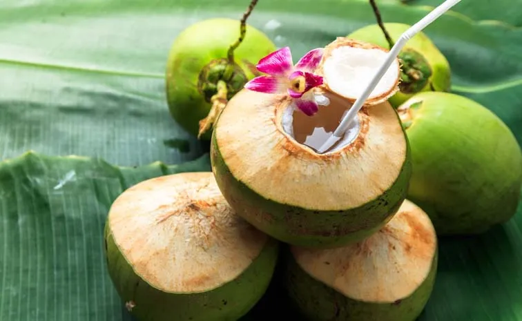 Coconut Water: Why Should Avoid Drinking Too Much