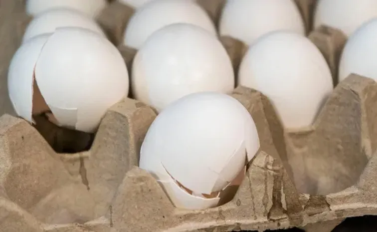 Egg prices hit another record high ahead of Easter in Usa