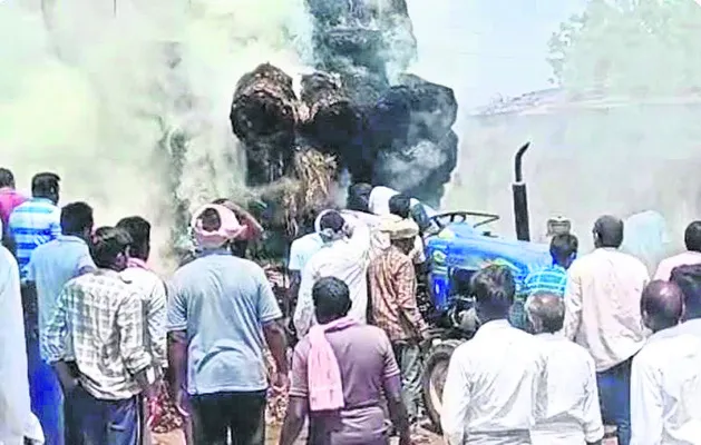 విద్యుదాఘాతంతో వరిగడ్డి దగ్ధం
