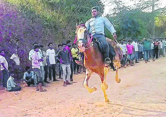 గుర్రాల జోరు.. కుర్రకారు హుషారు! 