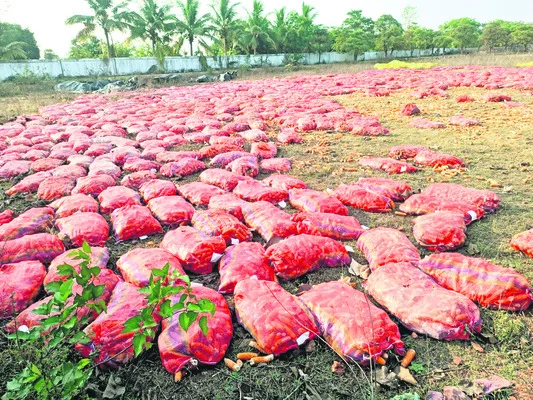అడుగడుగునా అవాంతరాలే...