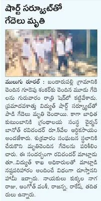 ఇంటి