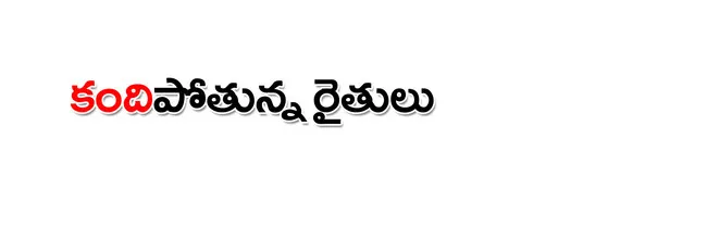 శనివా