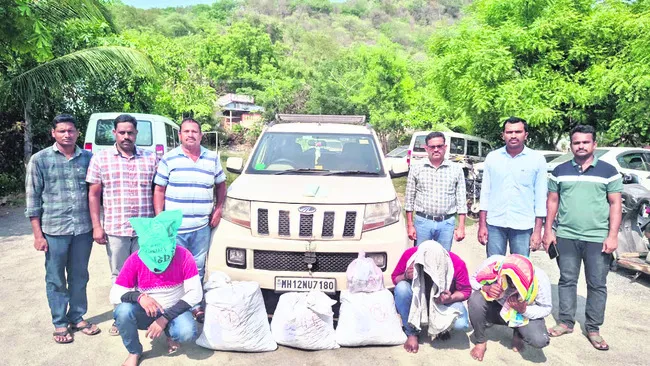 అంతర్రాష్ట్ర గంజాయి ముఠా అరెస్ట్‌ 