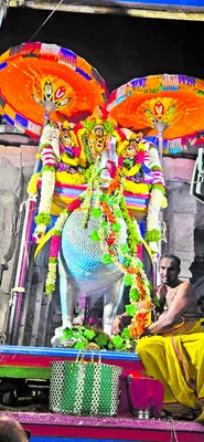 హంస వాహనంపై నృసింహస్వామి 