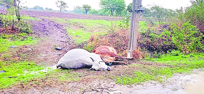అకాల వర్షాలు.. అప్రమత్తత మేలు 