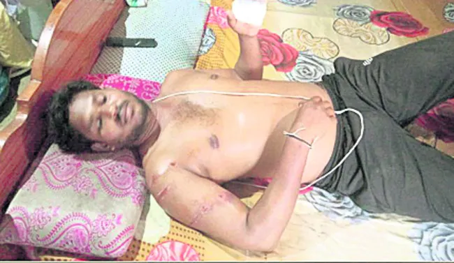 ఎలుగుబంటి దాడిలో ఒకరికి గాయాలు